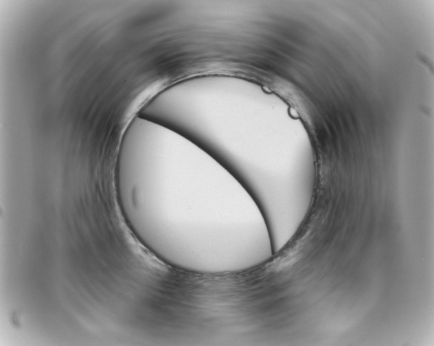 X0000096400954200801241001