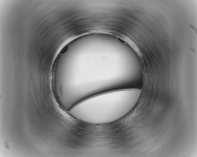 X0000096400955200801241001