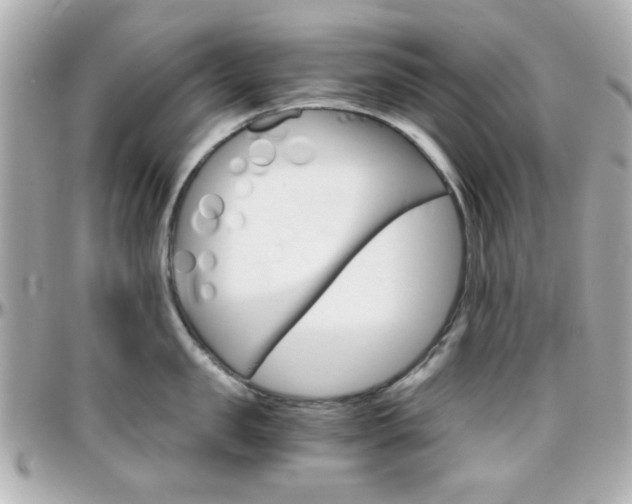X0000096400957200801241001