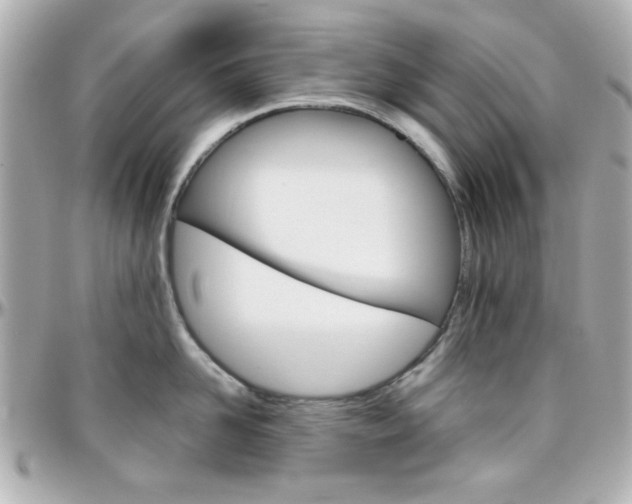 X0000096400958200801241001
