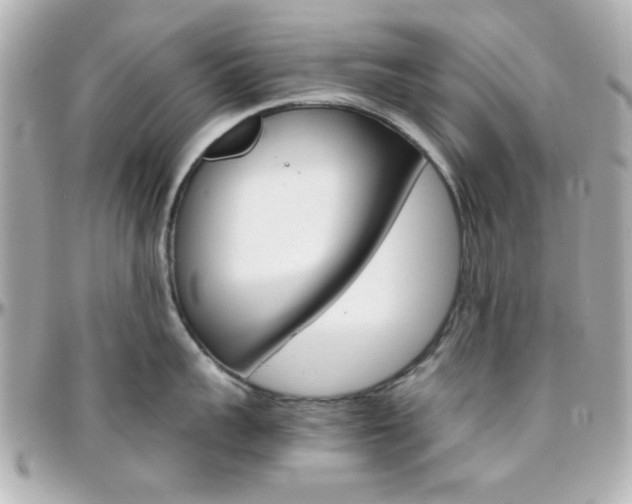 X0000096400959200801241001