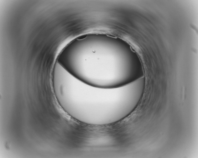 X0000096400960200801241001