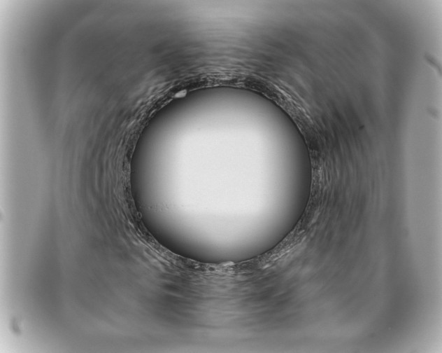 X0000096400961200801241000