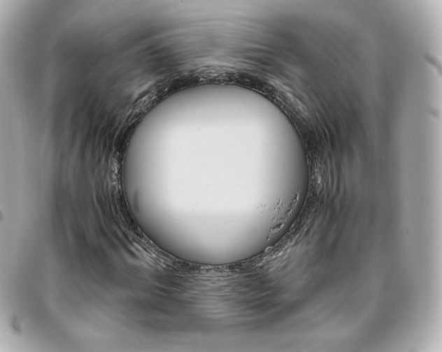 X0000096400964200801241000