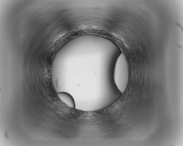 X0000096400966200801241000