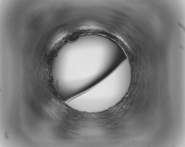 X0000096400967200801241000