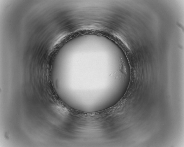 X0000096400968200801241000