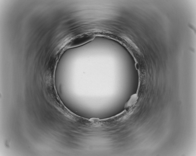 X0000096400969200801241000