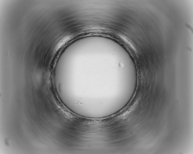 X0000096400970200801241000