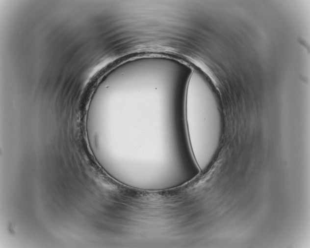 X0000096400971200801241000