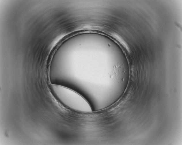 X0000096400972200801241000