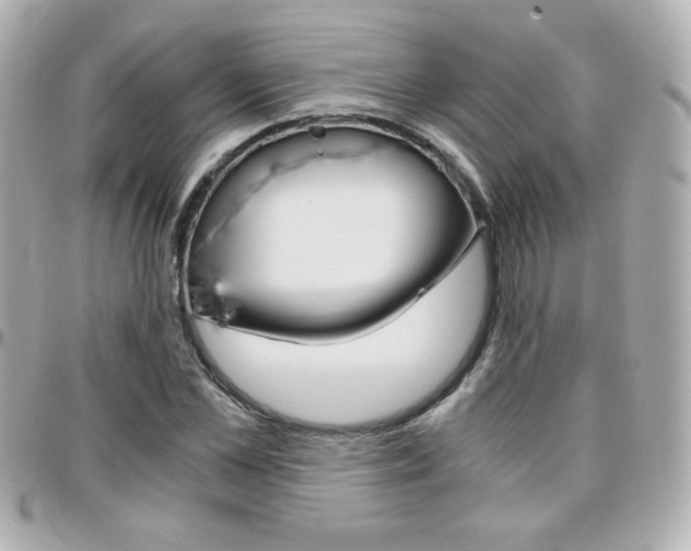 X0000096400973200801241000