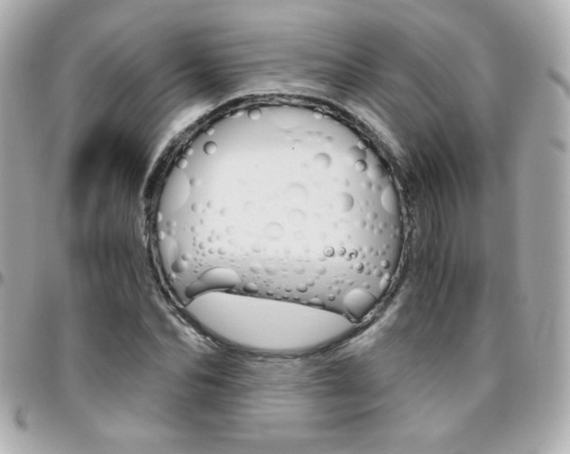 X0000096400974200801241000