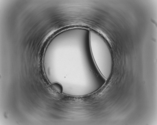 X0000096400975200801241000