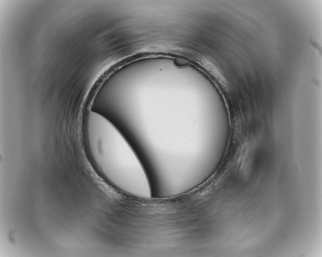 X0000096400976200801241000
