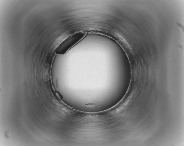 X0000096400977200801241000