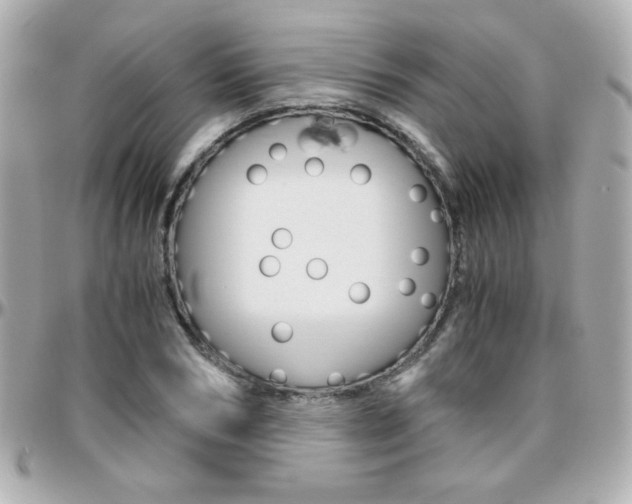 X0000096400978200801241000