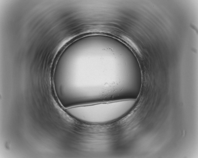 X0000096400980200801241000