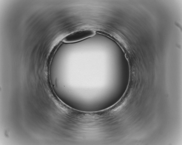 X0000096400981200801241000
