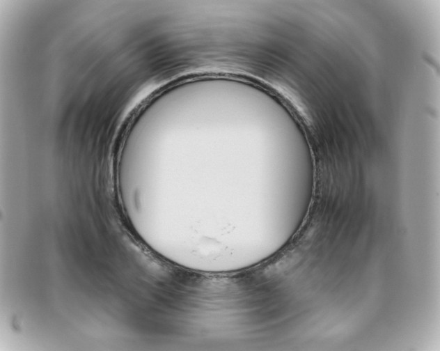 X0000096400982200801241000