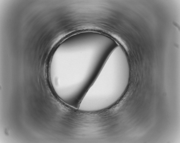 X0000096400983200801241000
