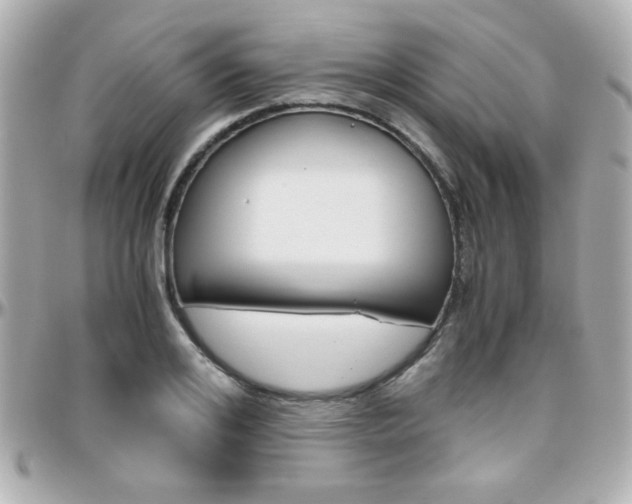 X0000096400984200801241000