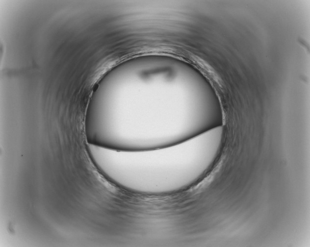 X0000096400985200801241000
