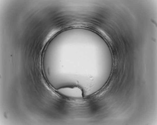 X0000096400986200801241000