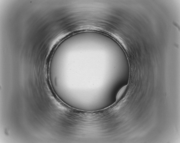 X0000096400987200801241000