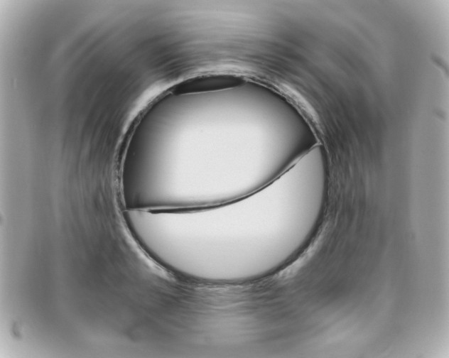 X0000096400989200801241000