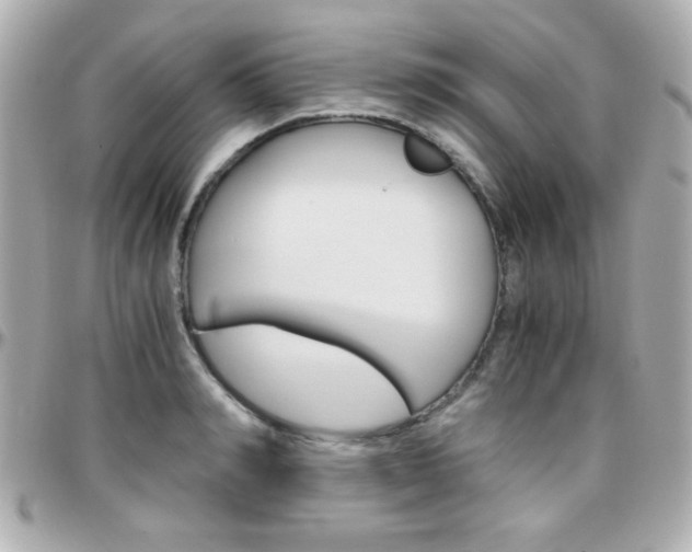 X0000096400990200801241000
