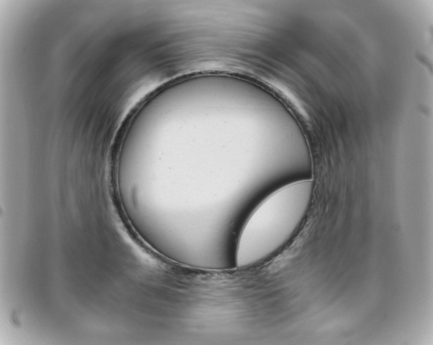 X0000096400991200801241000