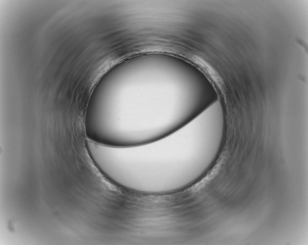 X0000096400993200801241000