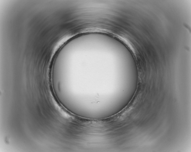 X0000096400995200801241000