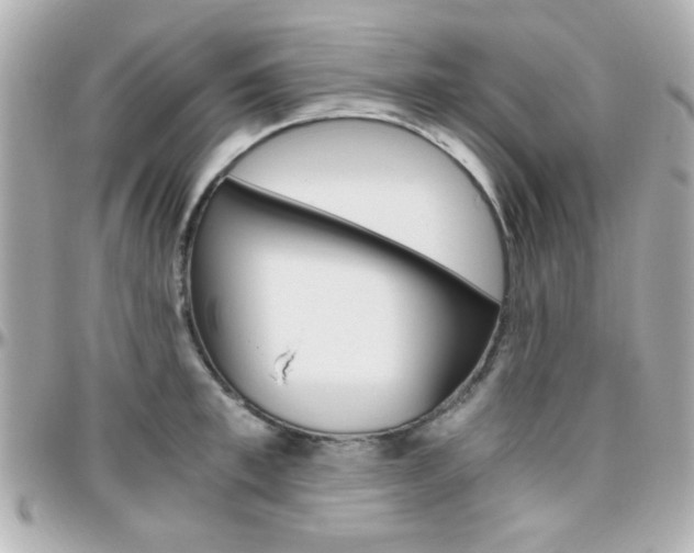 X0000096400997200801241000