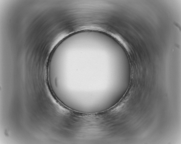 X0000096400999200801241000