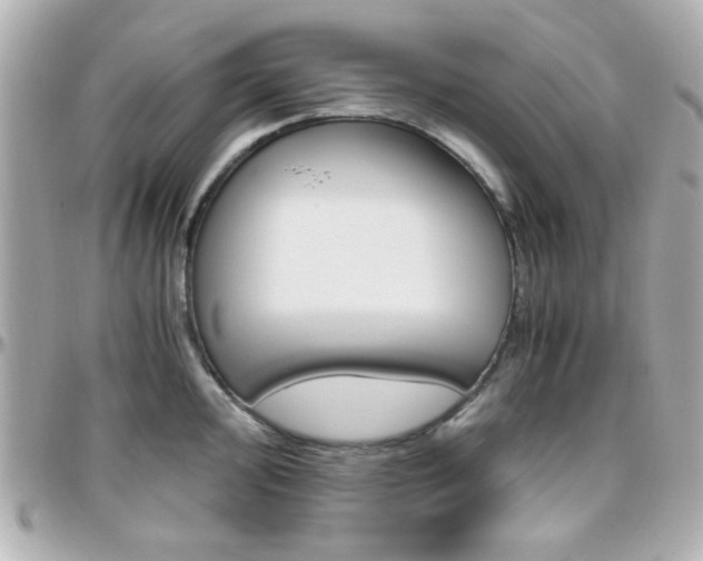 X0000096401000200801241000