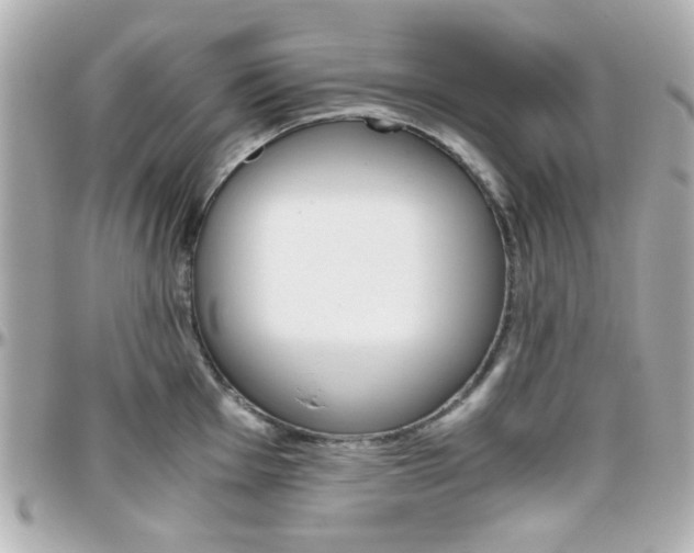 X0000096401001200801241000