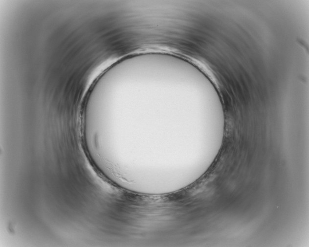 X0000096401003200801241000