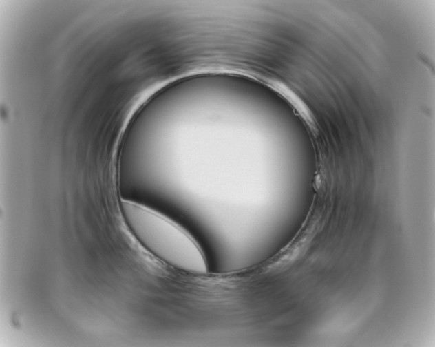 X0000096401004200801241000