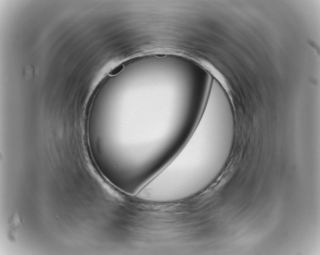 X0000096401005200801241000