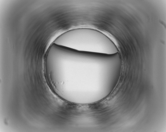 X0000096401006200801241000