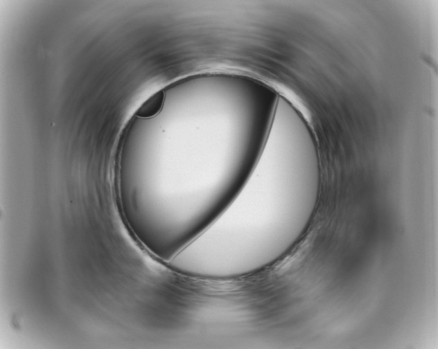 X0000096401007200801241000