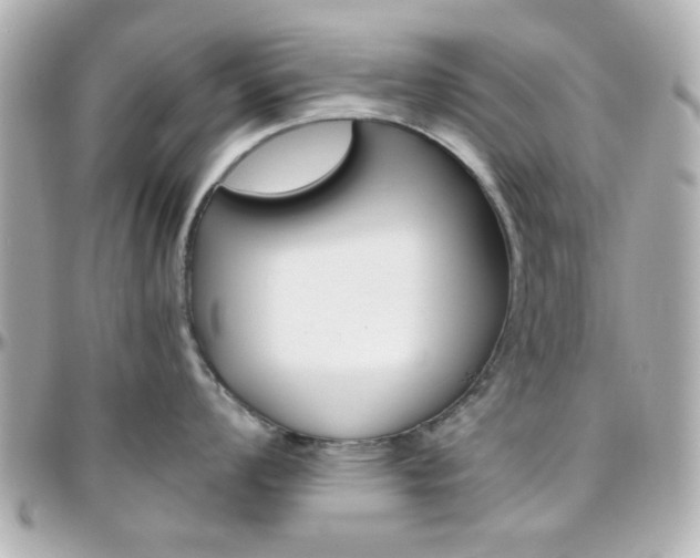 X0000096401008200801241000