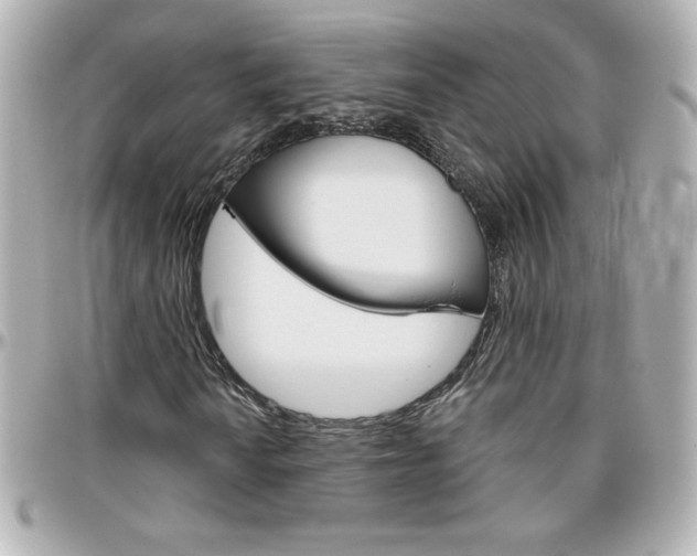 X0000096401010200801240959
