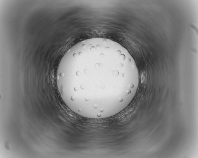 X0000096401011200801240959