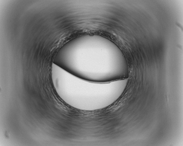 X0000096401012200801240959