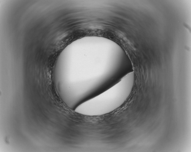 X0000096401013200801240959