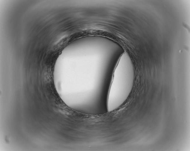 X0000096401014200801240959