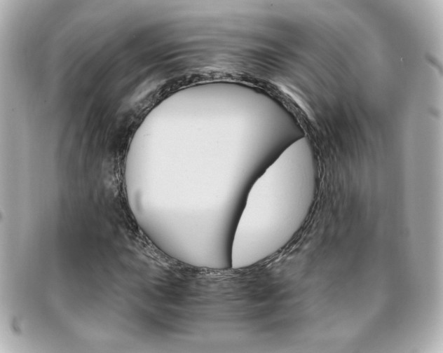 X0000096401015200801240959